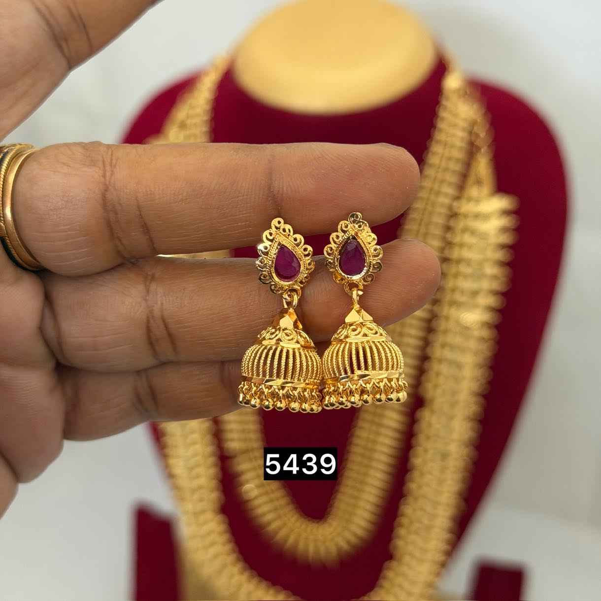 Daily wear jimiki RC5439